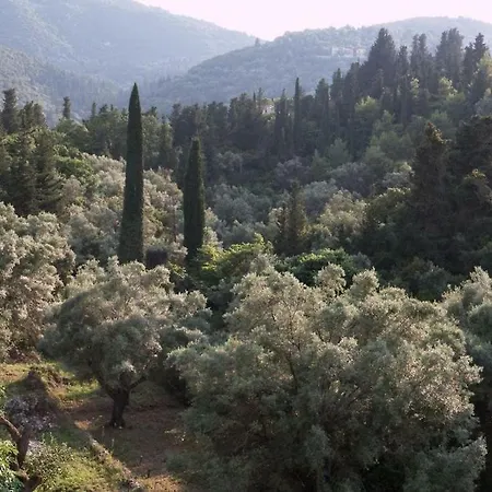 בית הארחה Christinas *